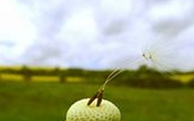 Impulsletter 10 "loslassen oder festhalten?"