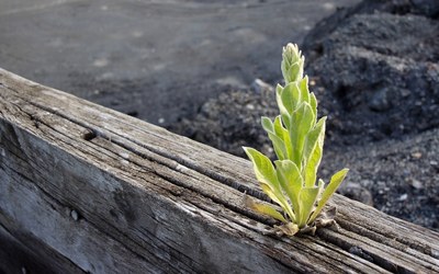 Impulsletter 13 "Umbruch, Balance und rechtes Maß"