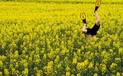 Impulsletter 28 "Konventionen sprengen"