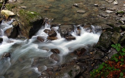 Impulsletter 31 "Gründeln"