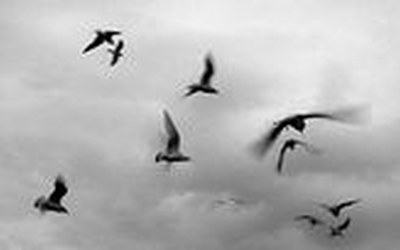 Impulsletter 4 "Angenommen"