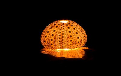 Impulsletter 44 "Trost"