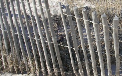 Impulsletter 5 "Dazwischen"