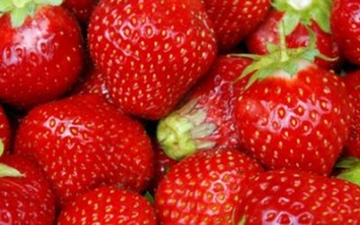 Impulsletter 52 "Begegnungen"