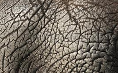 Impulsletter 55 "Ich wurde schwer verletzt"