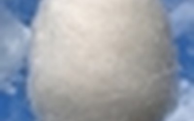 Impulsletter 61 "Ungesund"