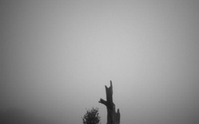 Impulsletter 65 "Mitgefühl"