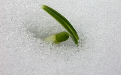 Impulsletter 73 "Heute ist ein guter Tag"