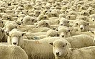 Impulsletter 9 "„Eigentlich bin ich nämlich ganz anders,...“