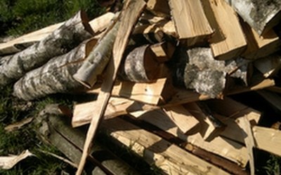 Nr. 75 "Durcheinander"