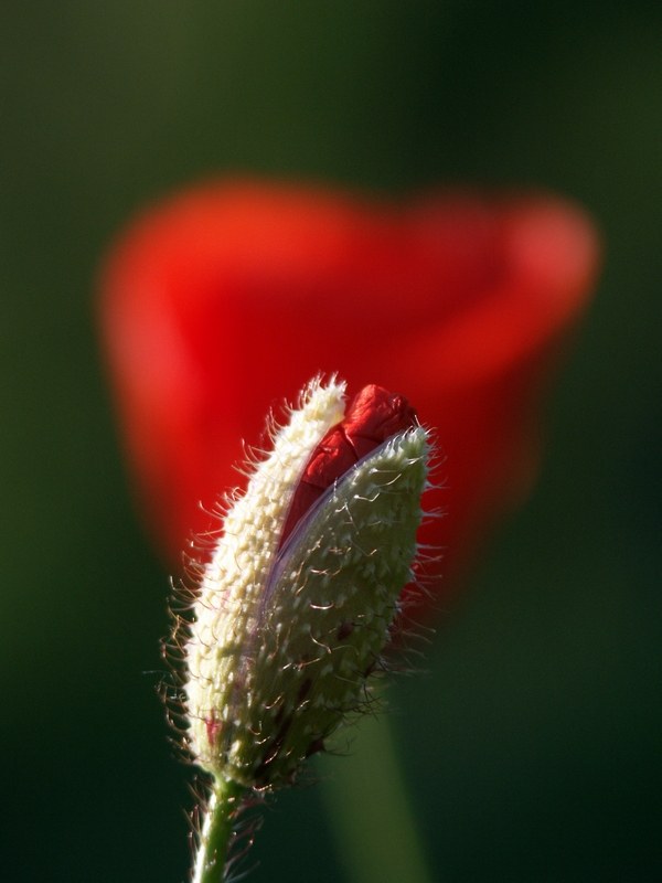 Bildquelle: www.photocase.com user gerti c