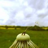 Fotoquelle: www.photocase.at/de Fotografin: cydonna