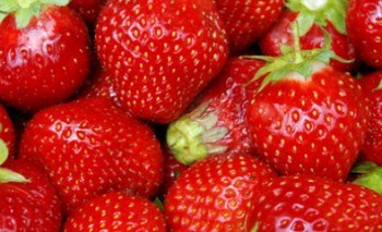 Bildquelle: Internet