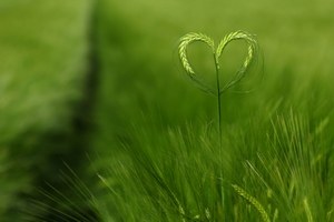 Bildquelle: www.photocase.com/user nevio3