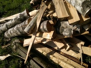 Bildquelle: eine Mitarbeiterin