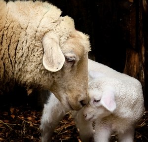 Bildquelle: joexx/photocase.de