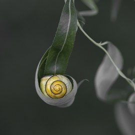 Bildquelle: www.photocase.de/userSlavia77