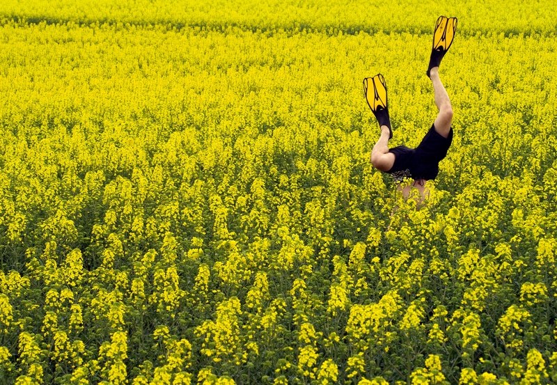 Bildquelle: www.photocase.com/user saimen