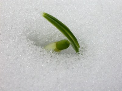 Bildquelle: photocase/user lio