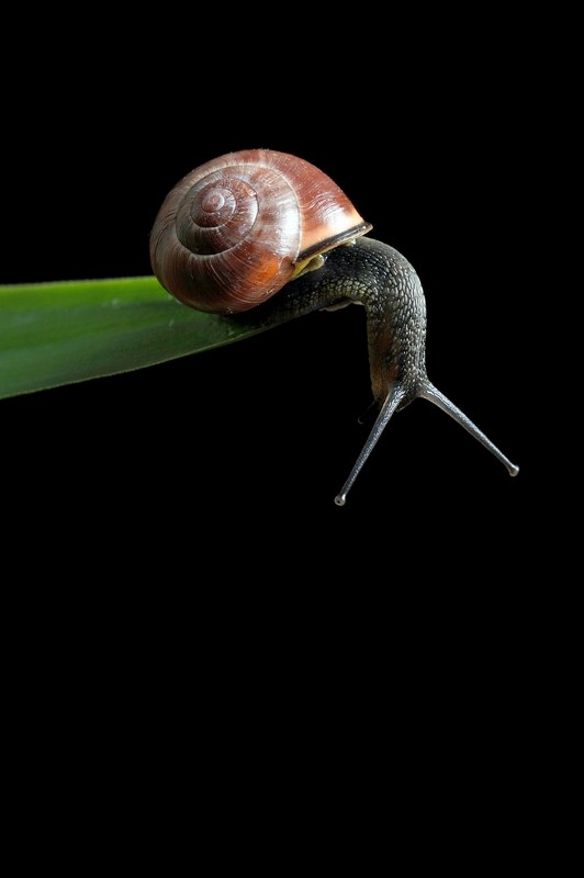 Bildquelle: www.photocase.com user greyhound