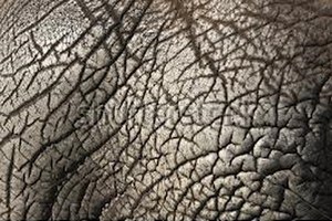 Bildquelle: Internet