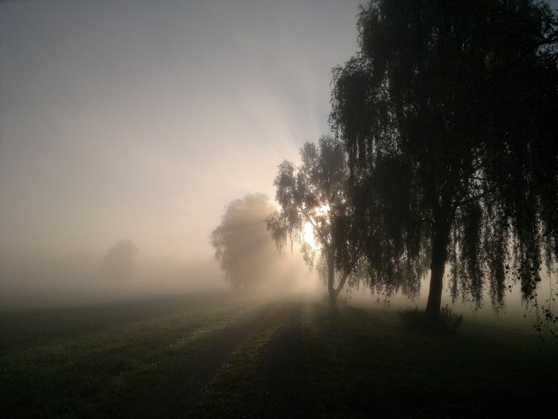 Wo viel Dunkelheit ist, ist auch Licht.