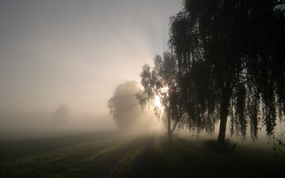 Wenn sich die Sonne verdunkelt