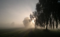 Wo viel Dunkelheit ist, ist auch Licht.